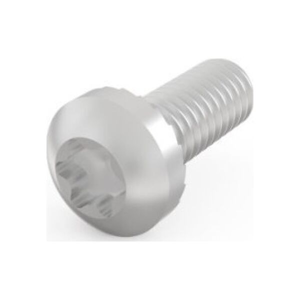 SCHROFF Śruba z łbem walcowym SCHROFF, Torx, M4 x 10, 100 szt.