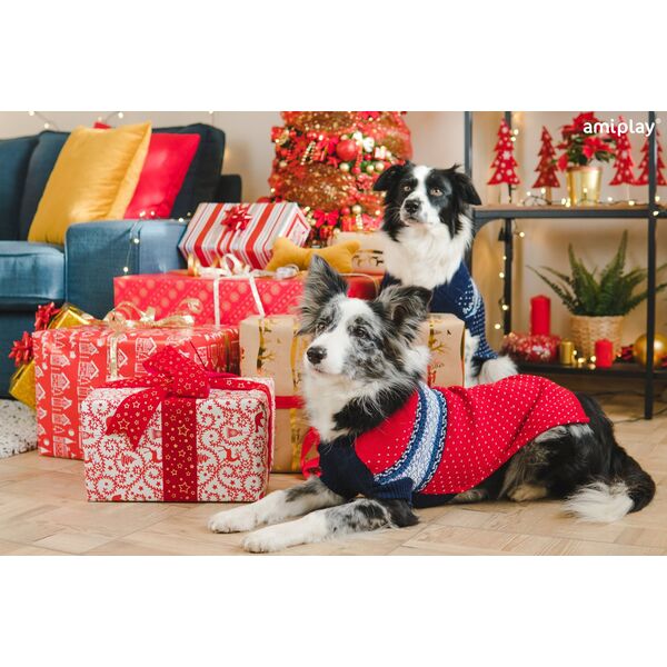 Amiplay SWEATER DOG BERGEN 19CM RED
