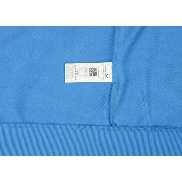Puma Bluza męska Puma Team Goal Casuals Hooded niebieska 658595 02 M