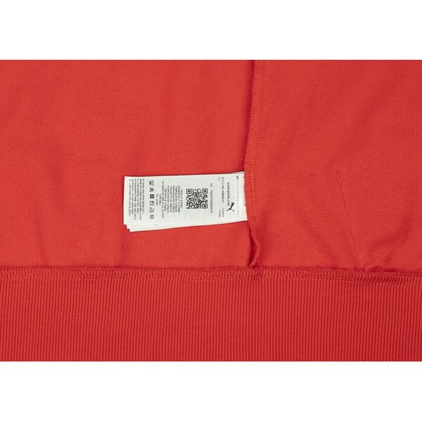 Puma Bluza męska Puma Team Goal Casuals Hooded czerwona 658595 01 XL
