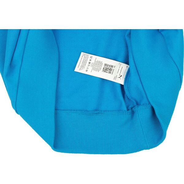 Puma Bluza męska Puma Team Goal Casuals Hoody niebieska 658618 02 M