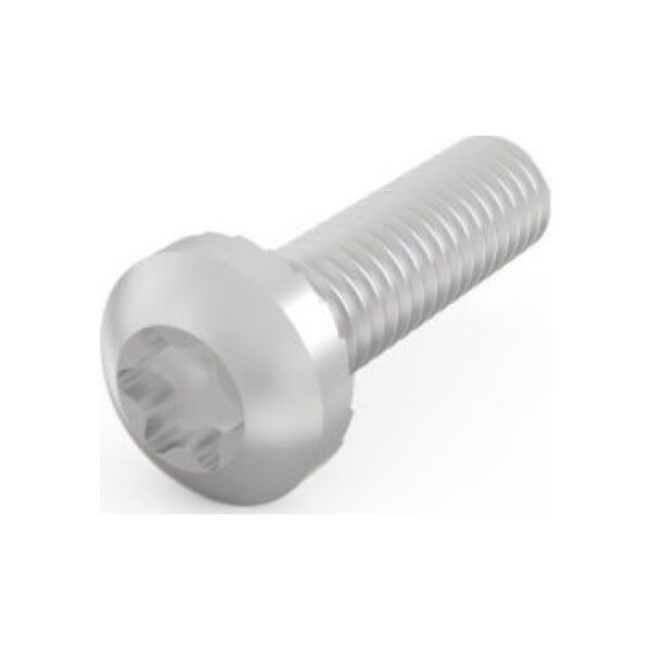 SCHROFF Śruba z łbem walcowym SCHROFF, Torx, M4 x 14, 100 szt.