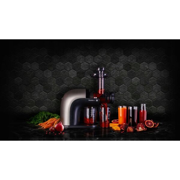 Sokowirówka G21 Juicer G21 600858
