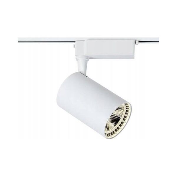 Naświetlacz DPM SPOTLIGHT STR-10W-W 820LM 4000K WHITE