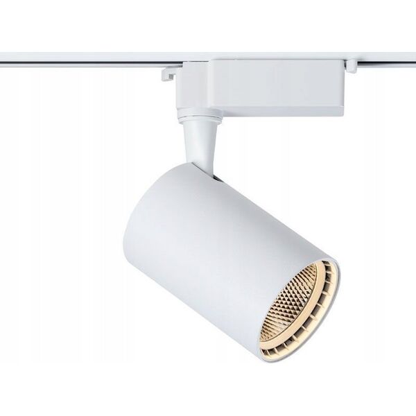 Naświetlacz DPM SPOTLIGHT STR-10W-W 820LM 4000K WHITE