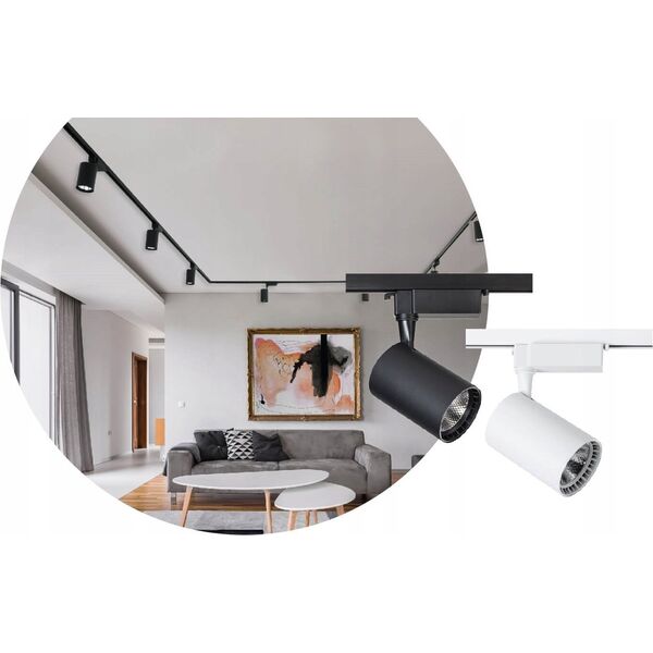 Naświetlacz DPM SPOTLIGHT STR-10W-W 820LM 4000K WHITE