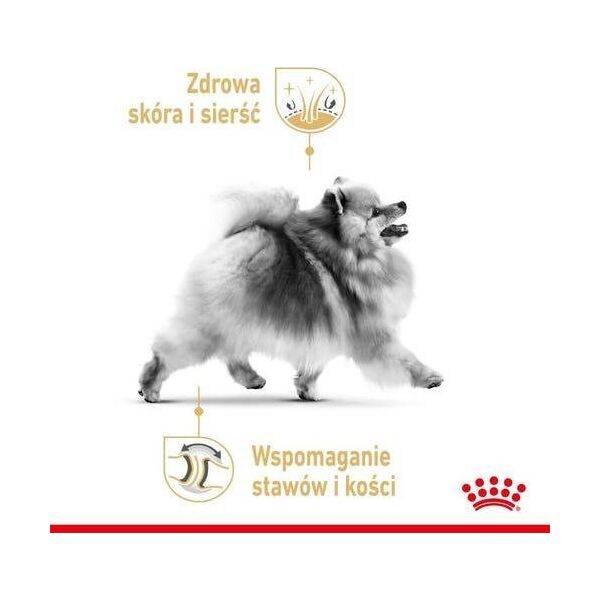 Royal Canin Pomeranian 85g