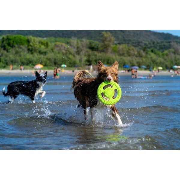 Triton Kiwi Walker Let's Play Frisbee Maxi pomarańczowe