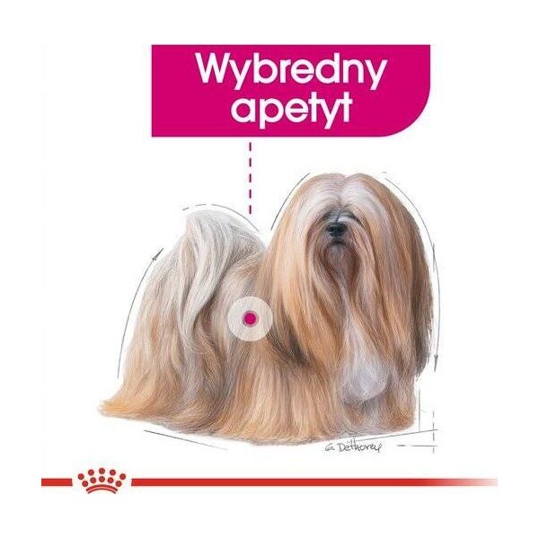 Royal Canin Exigent 85g