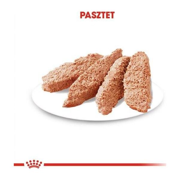 Royal Canin Exigent 85g