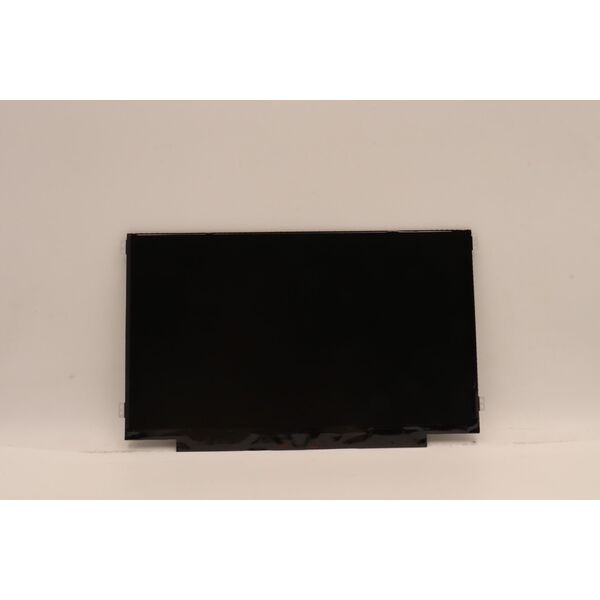 Lenovo FRU IV M116NWR6 R5 HDT AG