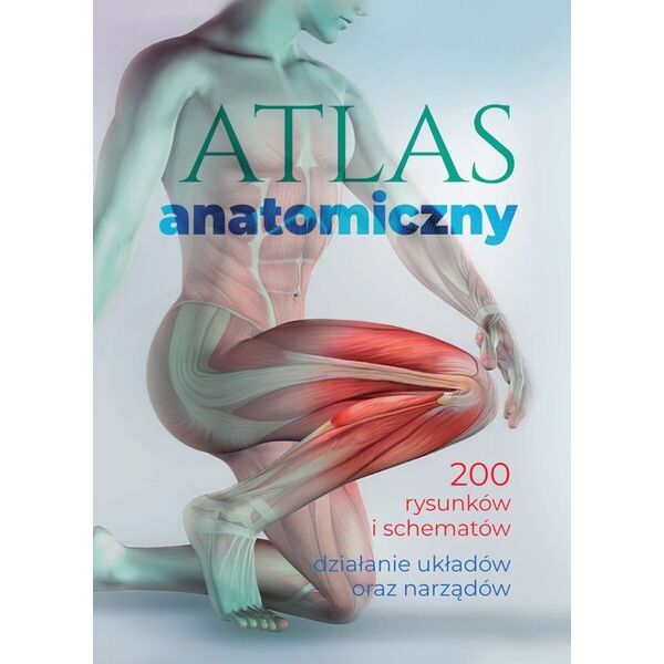 SBM Atlas anatomiczny