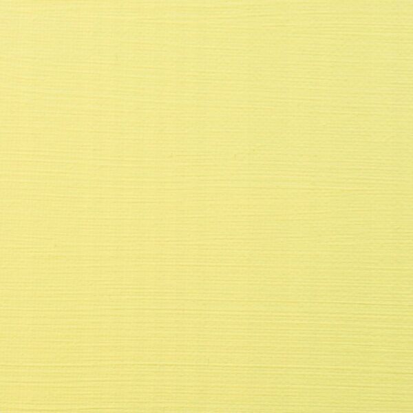 Artequipment Amsterdam Standard Series Acrylic Tube Permanent Lemon Yellow Light 217