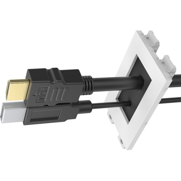 Vision VISION Techconnect Modulare AV-Frontplatte - 30 JAHRE GARANTIE - Burstenmodul - einfaches Doppelbreitenmodul mit Offnung zum Herausziehen der Kabel - Offnung der Burstenabdeckung 42 x 22 mm - kann in Techconnect Rahmen befestigt werden - Kunststof