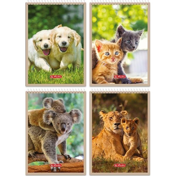 Teka Kołonotatnik A7/40K kratka Animals (20szt)