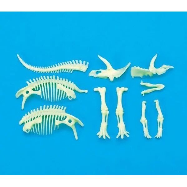 Teka ¦wiec±cy w ciemno¶ci szkielet Triceratops