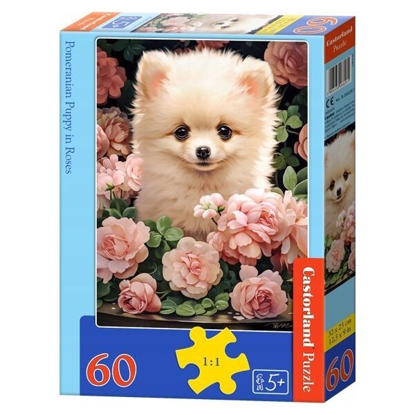 Castorland Puzzle 60 Pomeranian Puppy in Roses CASTOR