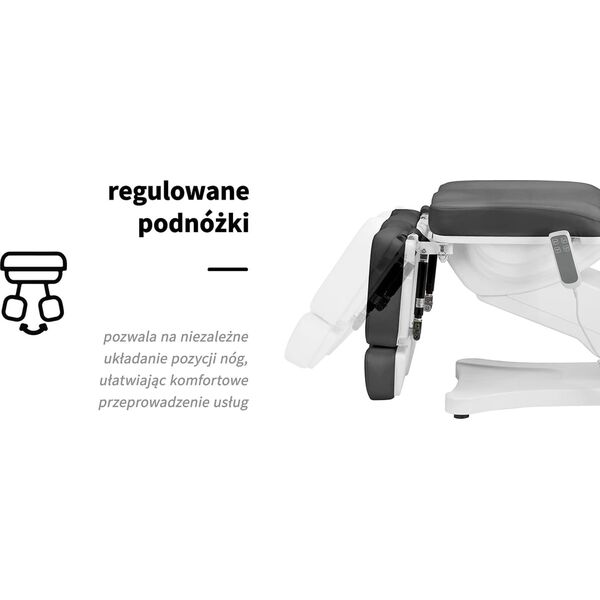 Activeshop Elektryczny fotel kosmetyczny SILLON CLASSIC 2 silniki pedi szary