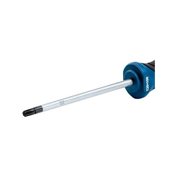 Bosch Bosch Screwdriver TX 25 x 100