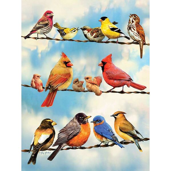 Ravensburger Puzzle 500 Ptasia narada G3