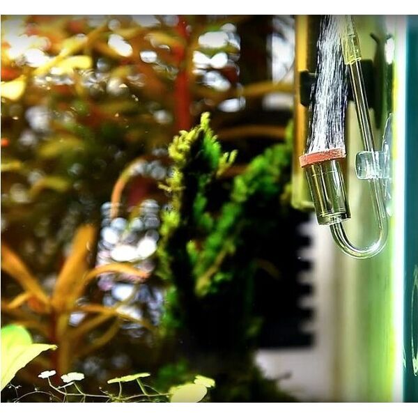 Aquarius Aquario Chihiros Nano CO2 Diffuser L