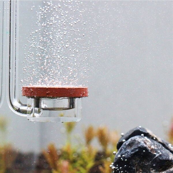 Aquarius Aquario CO2 Neo diffuser Special L nuo 200L