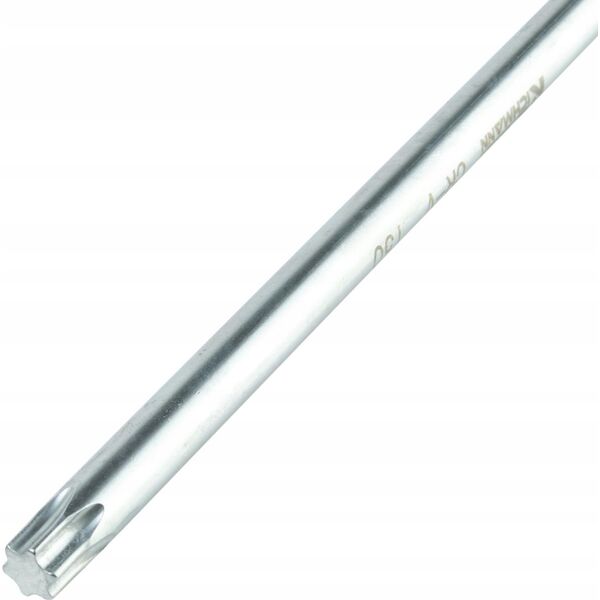 Richmann T-shaped torx. key T20x100 MM