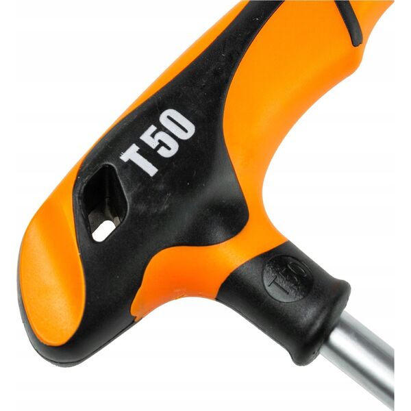 Richmann T-shaped torx. key T20x100 MM