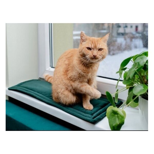 Mimikoko MIMIKO Pets Mata Velvet 25x70cm butelkowa zieleń
