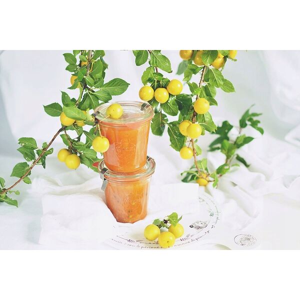 Jata WECK Mold Jar 580ml Set of 6