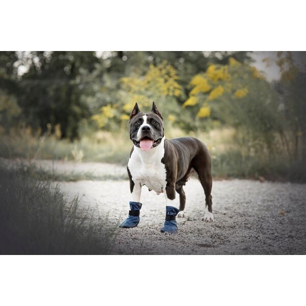 Ami Play DOG BOOTS BRISTOL M 6X7X10CM RED