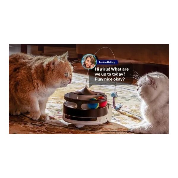 Enabot Enabot ROLA PetPal Treat Dispenser | WH287305