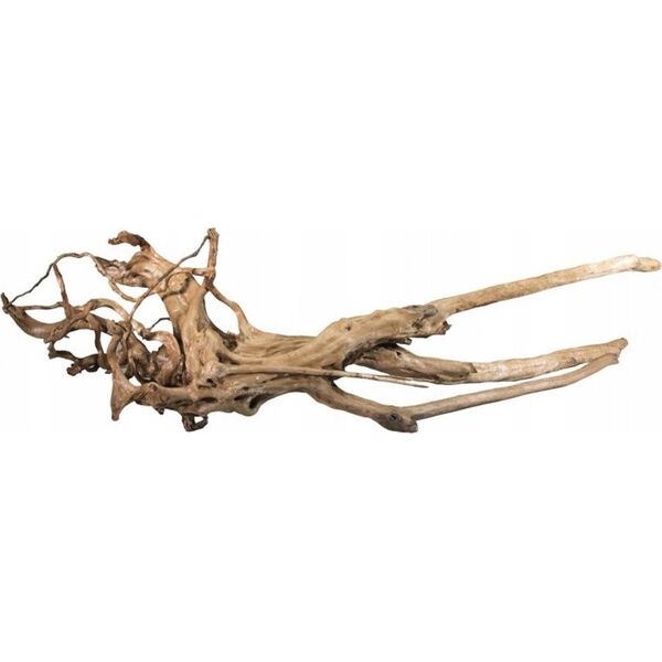 Terra Natura Pień bagienny, 40-60 cm