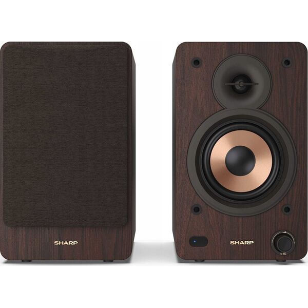 Kolumna Sharp Sharp CP-SS30 BT Hifi-Lautsprecher braun