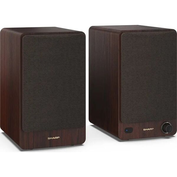 Kolumna Sharp Sharp CP-SS30 BT Hifi-Lautsprecher braun