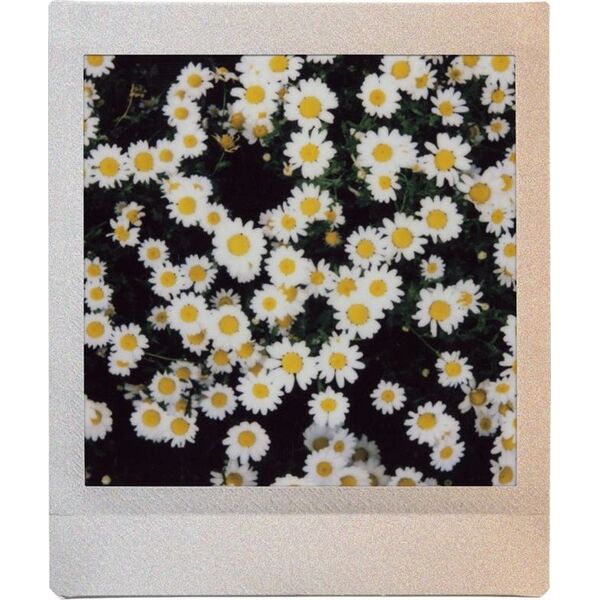 Fujifilm 1 Fujifilm instax Square Film Sunset