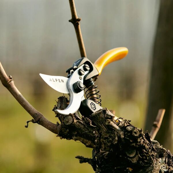 Sekator Alpen GELBHORN 140 Secateurs