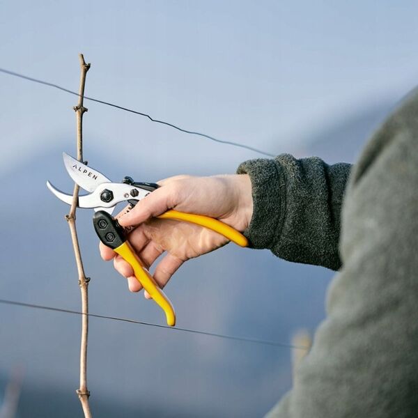 Sekator Alpen GELBHORN 150 Secateurs
