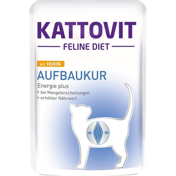 Kattovit KATTOVIT sasz.85g RECOVERY  /24
