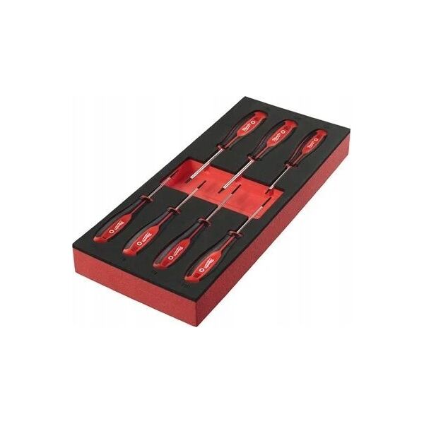 Sourcing MILWAUKEE FOAM INSERT WITH SCREWDRIVERS 7 pcs. TORX