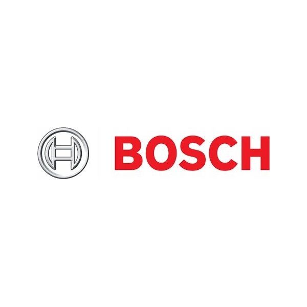 Bosch Disc for cleaning BOSCH, 125 mm, 22.23 mm, SiC 125 mm