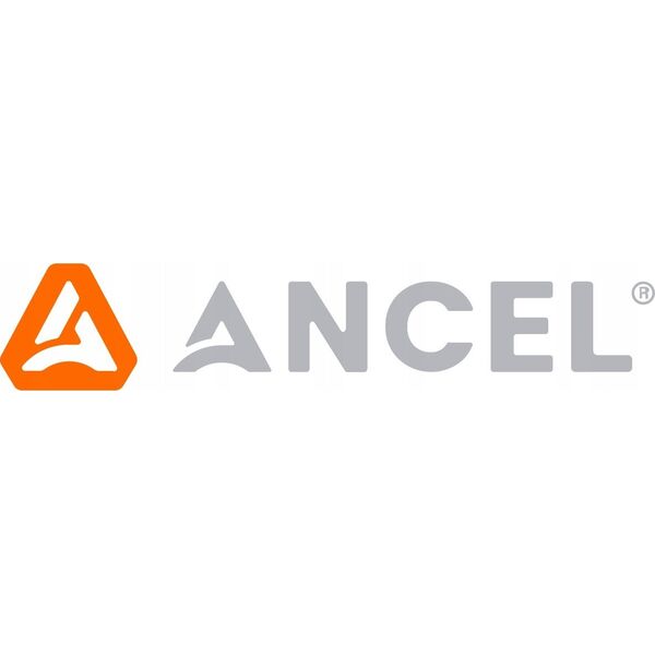ANCEL Skaner diagnostyczny OBD2 Ancel AD310/AC103
