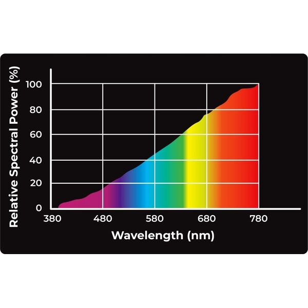 Aqua Nova AQUA NOVA ŻARÓWKA GRZEWCZA UVA REPTILE    DAYLIGHT 75W