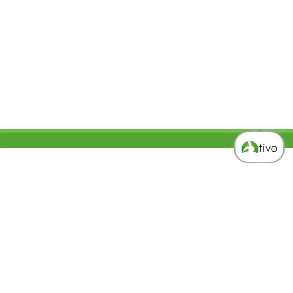 Tivo TIVO KWIATY  BŁAWATEK ( CHABER ) 60g