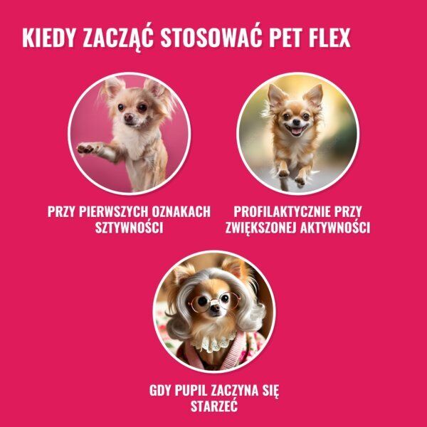 Pets PET FLEX  Preparat na stawy i mobilność dla zwierząt 500ml