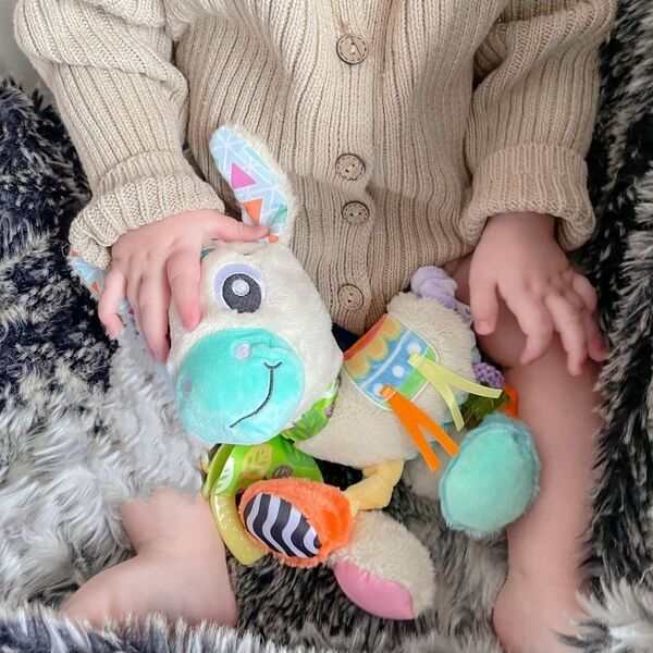 Playgro PLAYGRO Sensory Friend Lupe Llama, 0188470