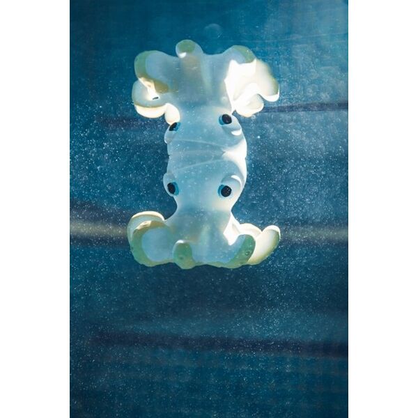 Oli&Carol Oli&Carol Orlando the Octopus teether, 0+