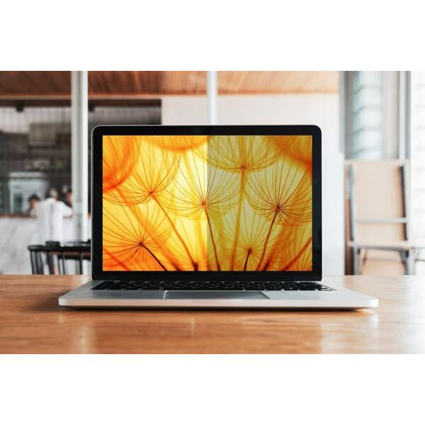 Filtr 3M Privacy Filters Frameless
