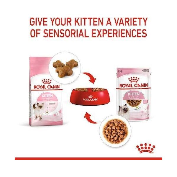 Royal Canin Kitten galaretka 85g
