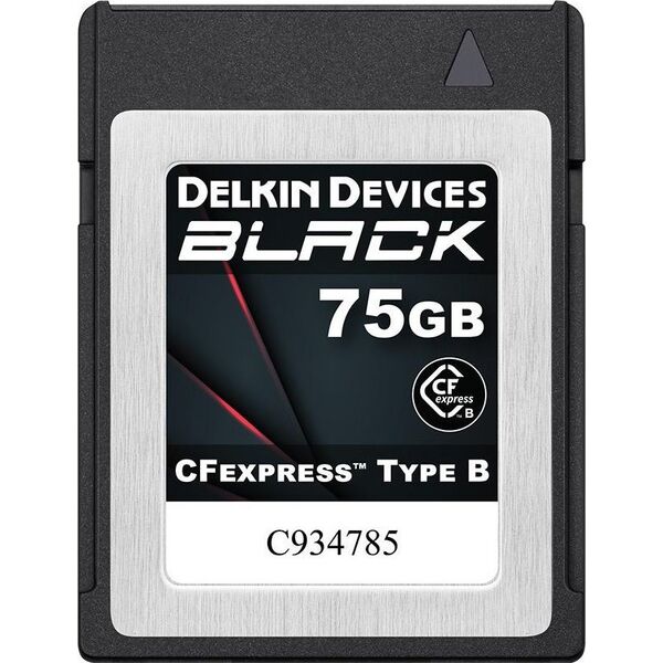 Karta Delkin Delkin CFexpress BLACK R1725/W1240 75GB